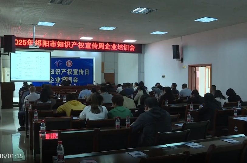 祁阳市举办知识产权宣传周企业专题培训会 助力企业创新发展