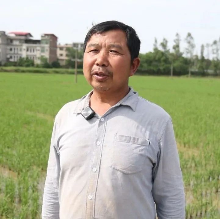 祁阳白水镇：统防统治保丰收 万亩早稻管护忙