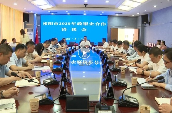 祁阳市2025年政银企合作洽谈会召开