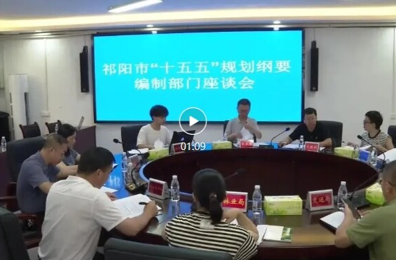 祁阳市“十五五”规划编制部门座谈会召开