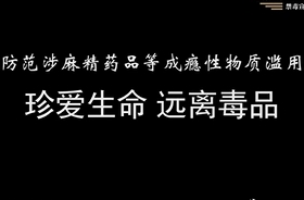 《林小虎的鉴毒大冒险》