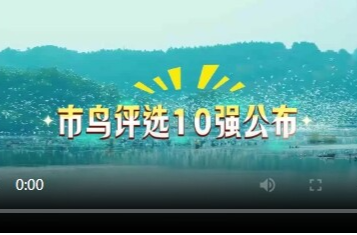 永州市市鸟评选10强公布