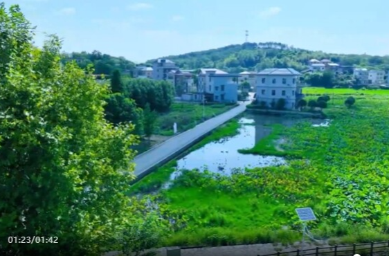 陈爱林赴祁阳调研巩固拓展脱贫攻坚成果同乡村振兴有效衔接工作
