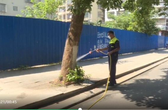 祁阳市环卫园林事务中心在城区开展白蚁防治行动
