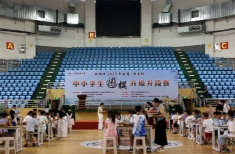 2025年祁陽(yáng)市中小學(xué)生圍棋升級(jí)升段賽舉行