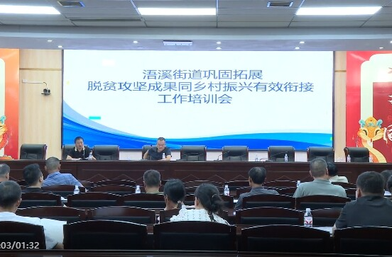 浯溪街道召开巩固拓展脱贫攻坚成果同乡村振兴有效衔接工作推进会
