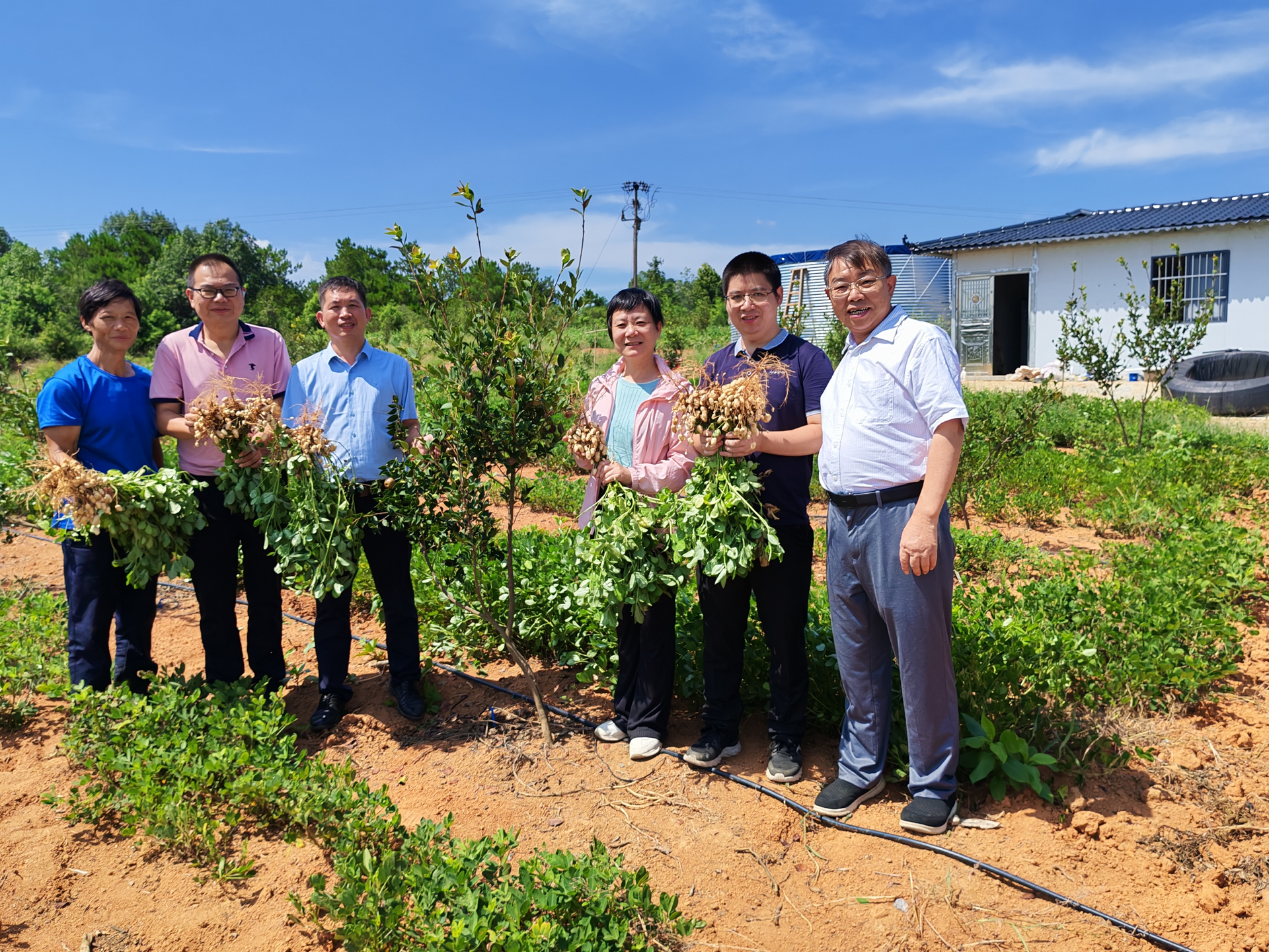 祁阳 “一地三油” 模式结硕果一亩三季油助农增收