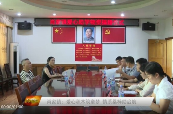 肖家镇：爱心积木筑童梦 情系桑梓助启航