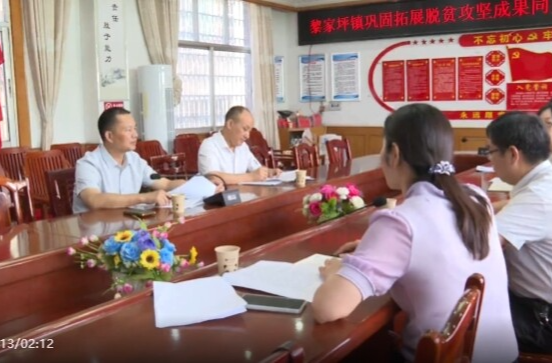 向子顺调研巩固拓展脱贫攻坚成果同乡村振兴有效衔接和重点项目建设工作