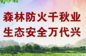 祁阳潘市镇：以练为战砺精兵，筑牢防线护平安