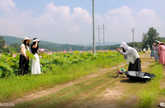 （乡村有好路）通景公路贯通 为元家庙村乡村振兴注入新活力