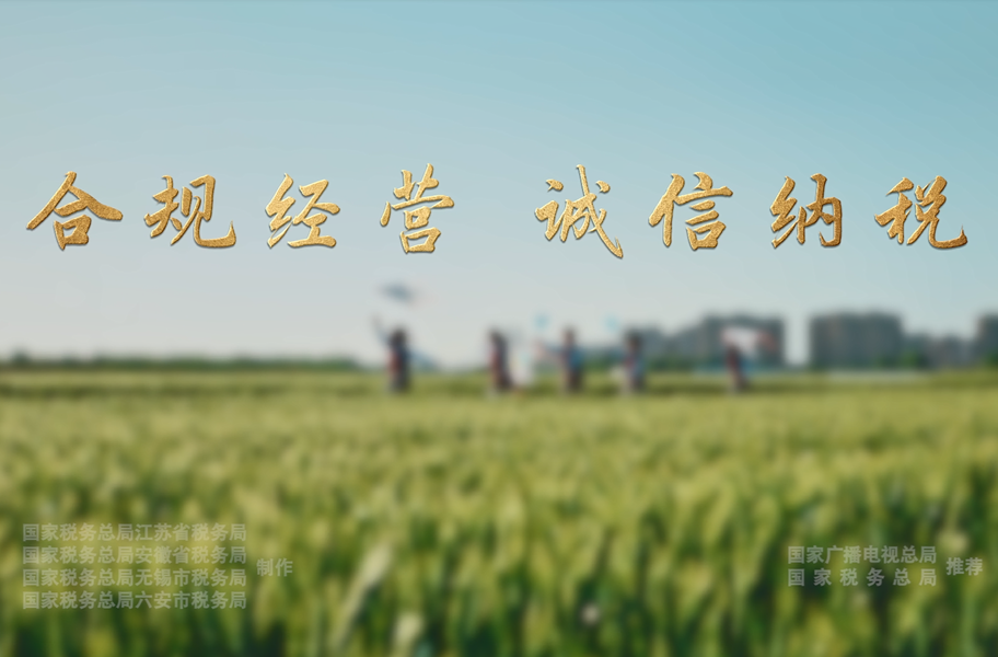 《合规经营，诚信纳税》