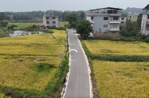 （乡村有好路）白水镇西洲新村：一条致富路 铺就乡村振兴“快车道”
