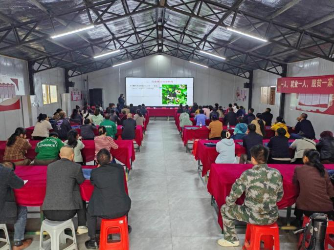 祁阳市总工会开展2025年“一户一产业工人”培养工程百香果种植员专项培训