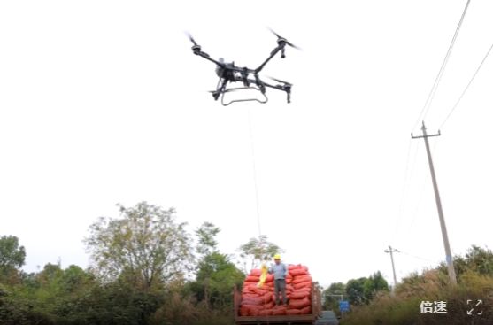 “空中快道”助力祁阳油茶产业发展