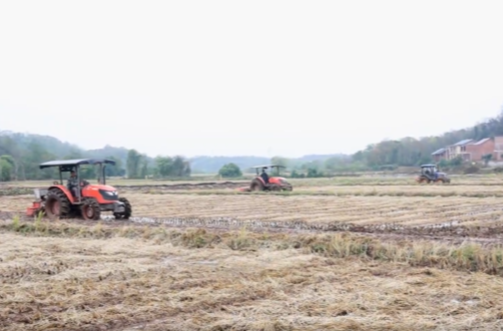 油菜机械化翻耕现场观摩会 让丰收“油”保障