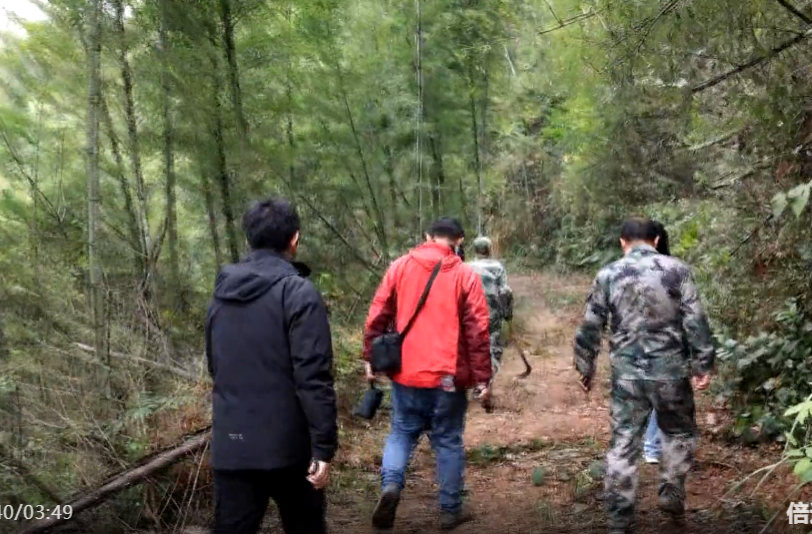 祁阳：探秘衡永古道 徒步穿越唤醒祁山文旅新脉