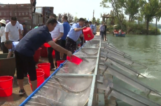 祁阳市举行2025年水生生物增殖放流活动