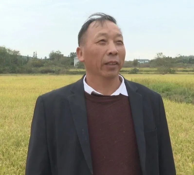 祁阳周塘村：“整村推进”改田增效 农民增收有奔头