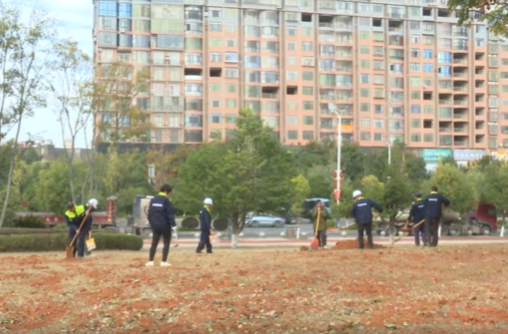 祁阳市环卫园林事务中心开展冬季草坪养护行动 