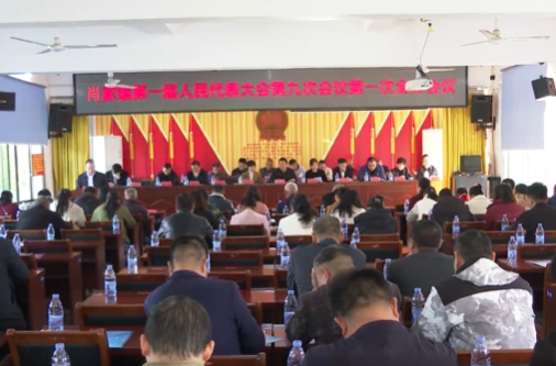 肖家镇第一届人民代表大会第九次会议召开