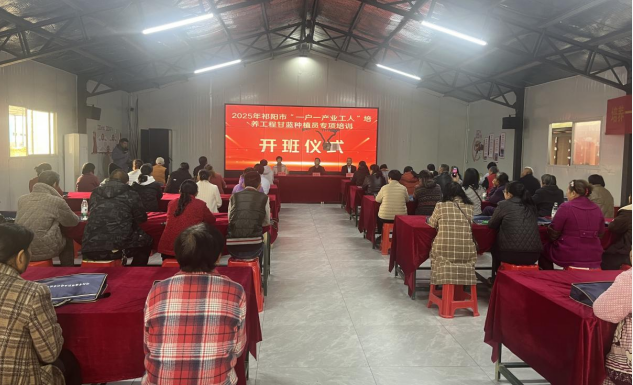 祁阳市总工会开展露天甘蓝种植员专项培训