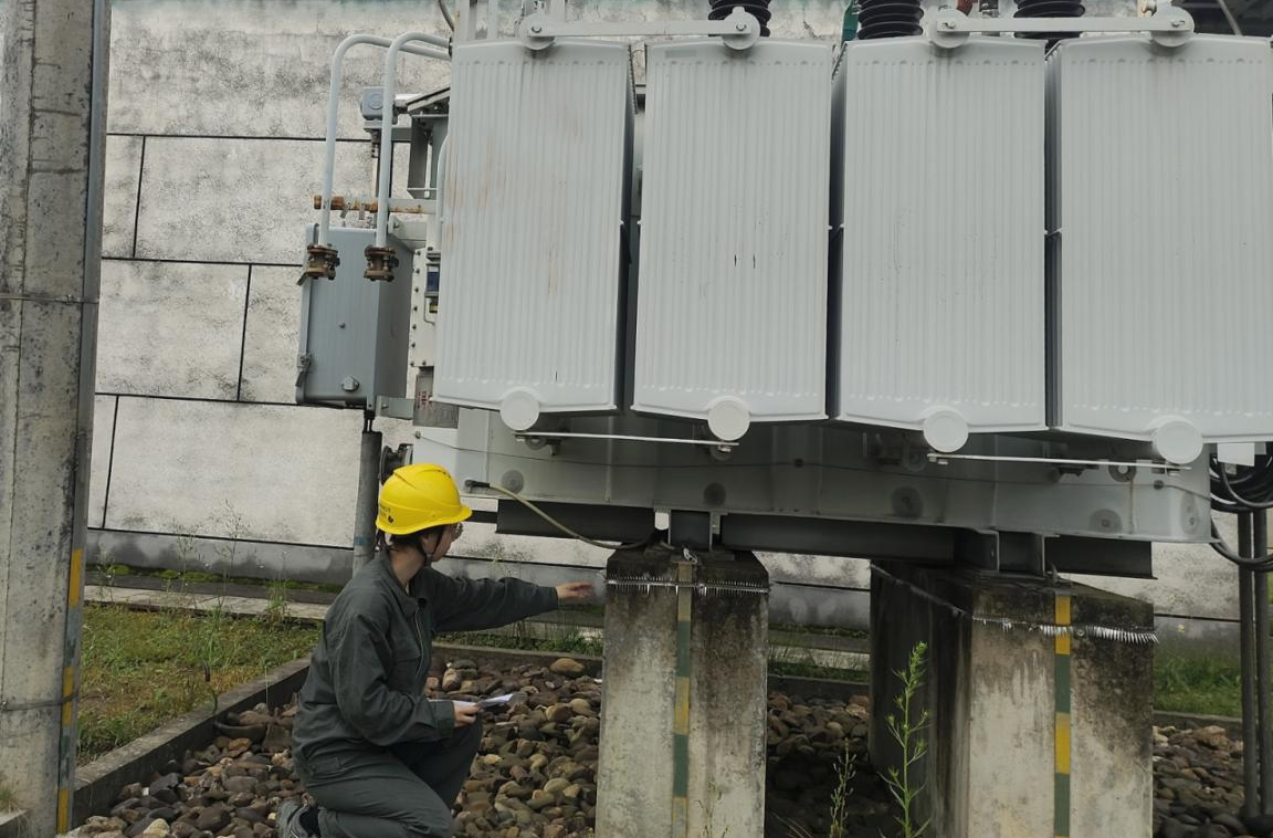 国网祁阳市供电公司：多措并举 织密防小动物防护网