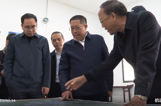 蒋崇华调研项目建设和乡村振兴工作