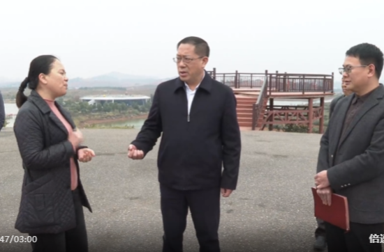 蒋崇华调研农文旅产业和园区企业