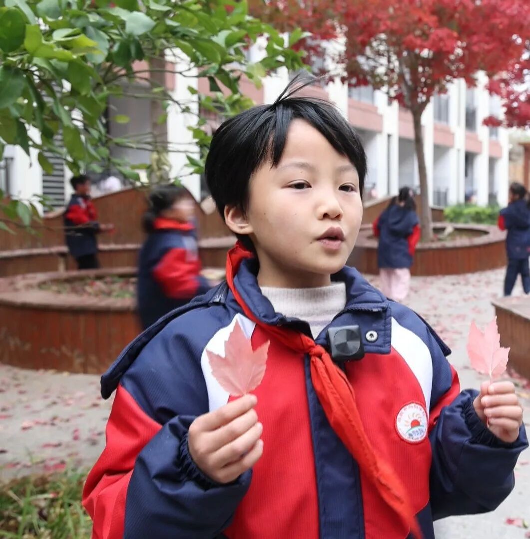 校园最美“枫”景线