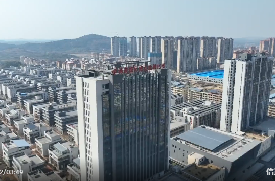 祁阳：赋能企业“走出去” 共拓合作新蓝海