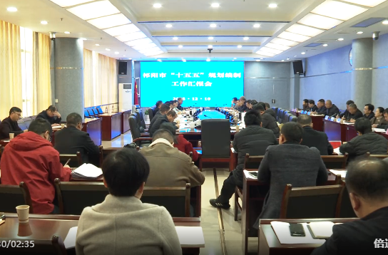 蒋崇华听取“十五五”规划编制工作汇报时强调：找准发展定位 谋划项目支撑 奋力描绘祁阳高质量发展新蓝图