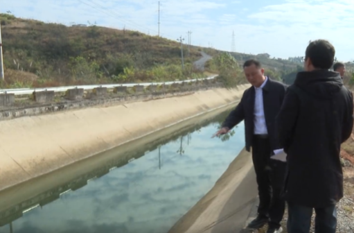 向子顺深入肖家镇专题调研灌区建设工作