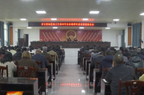 吴东涛在潘市镇宣讲党的二十届四中全会精神