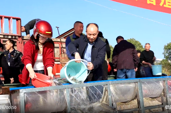 祁阳：11万尾鱼苗“安家”湘江 非法捕捞者出资修复生态