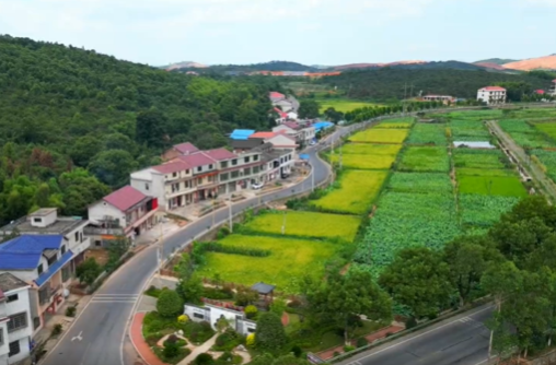 回首“十四五” 奋进新征程｜祁阳：内畅外联促发展 通村达乡惠民生