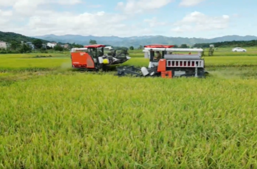 回首“十四五” 奋进新征程｜祁阳：筑牢粮仓根基 拓展产业富路