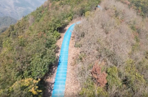 登山好去处：太白峰登峰森林康养步道悄然亮相