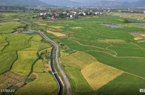 贯彻落实祁阳市委一届九次全会暨市委经济工作会议精神｜立足职能 聚焦重点 实干担当谱新篇