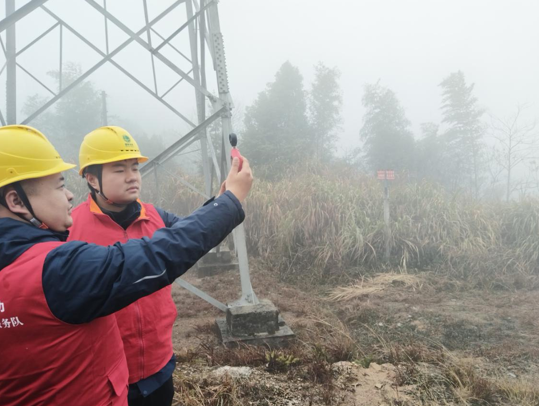 国网祁阳市供电公司：开展防冻融冰特巡 筑牢电网“御寒屏障”