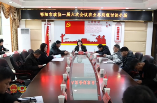 祁阳市政协委员分界别讨论“一府两院”工作报告、“十五五”规划纲要