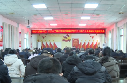 向子顺在黎家坪镇宣讲党的二十届四中全会精神