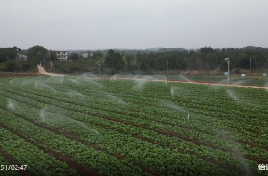 祁阳：升级喷灌系统 蔬菜基地节本增效促振兴
