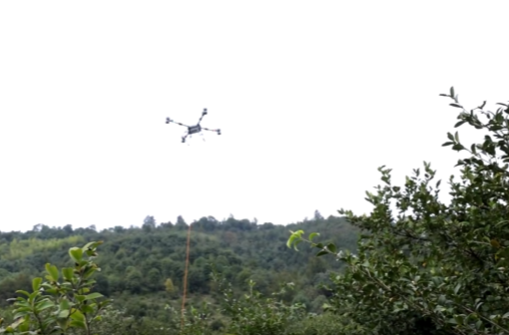 祁阳市低空经济发展座谈会在北京召开 刘大响院士出席