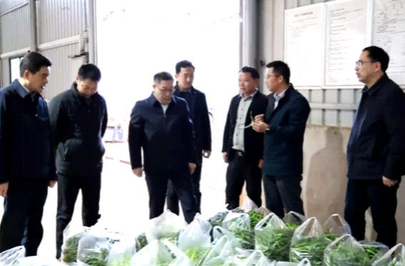 中国工程院院士柏连阳率创新团队来祁阳调研指导全市“三农”工作 蒋崇华、向子顺等领导参加