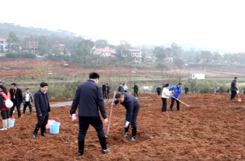 2026年祁阳市义务植树活动举行 蒋崇华向子顺参加