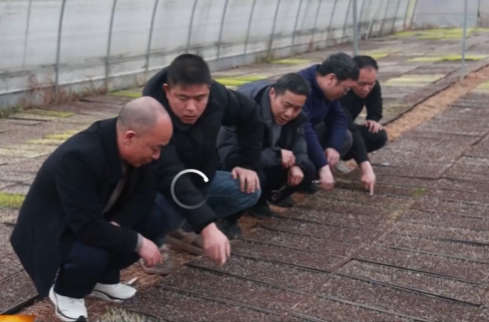 祁阳：四级农技人员“包联到户” 精准服务护航春耕