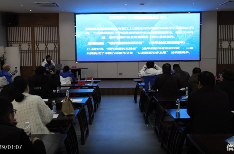 中欧文旅科技专家代表团来祁阳考察调研