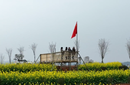 祁阳：和谷谷智慧农旅产业园梯田油菜花迎春绽放
