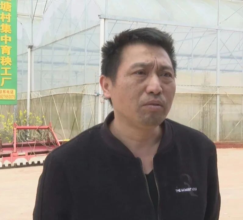 祁阳：育秧大棚轮作忙 机械翻耕抢农时